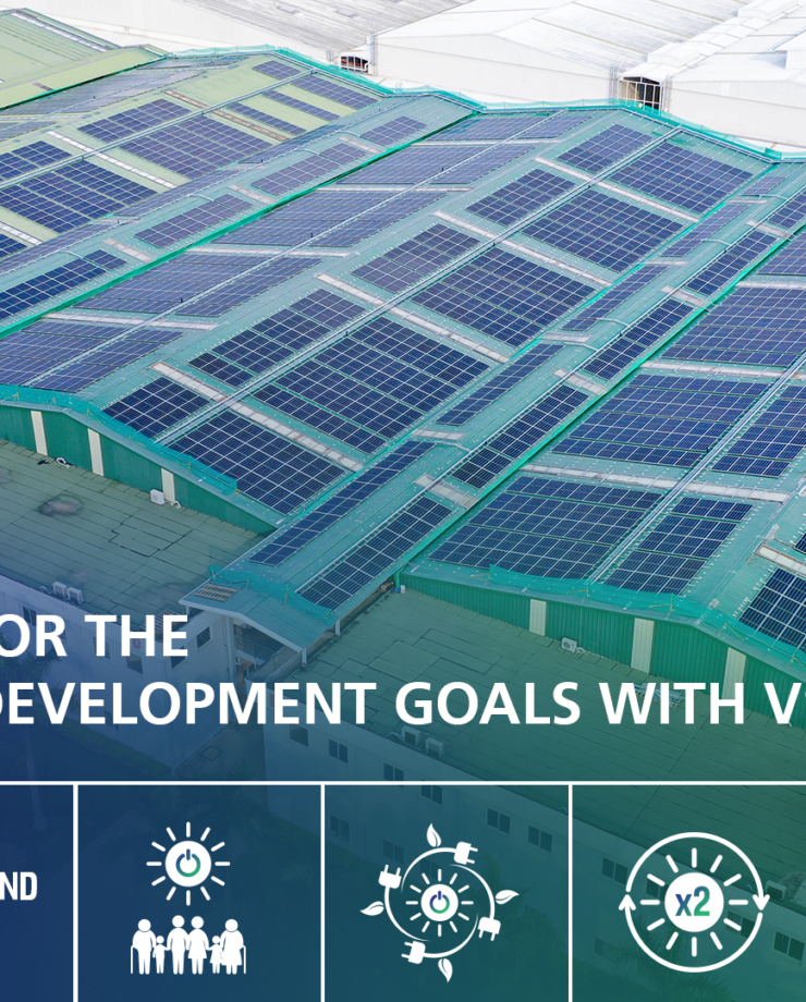 Take Action For The Sustainable Development Goals With VSSES