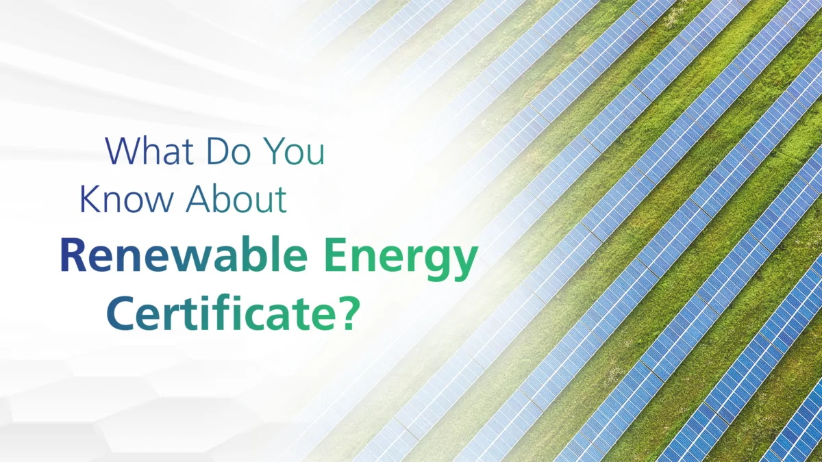 What Do You Know About Renewable Energy Certificate?
