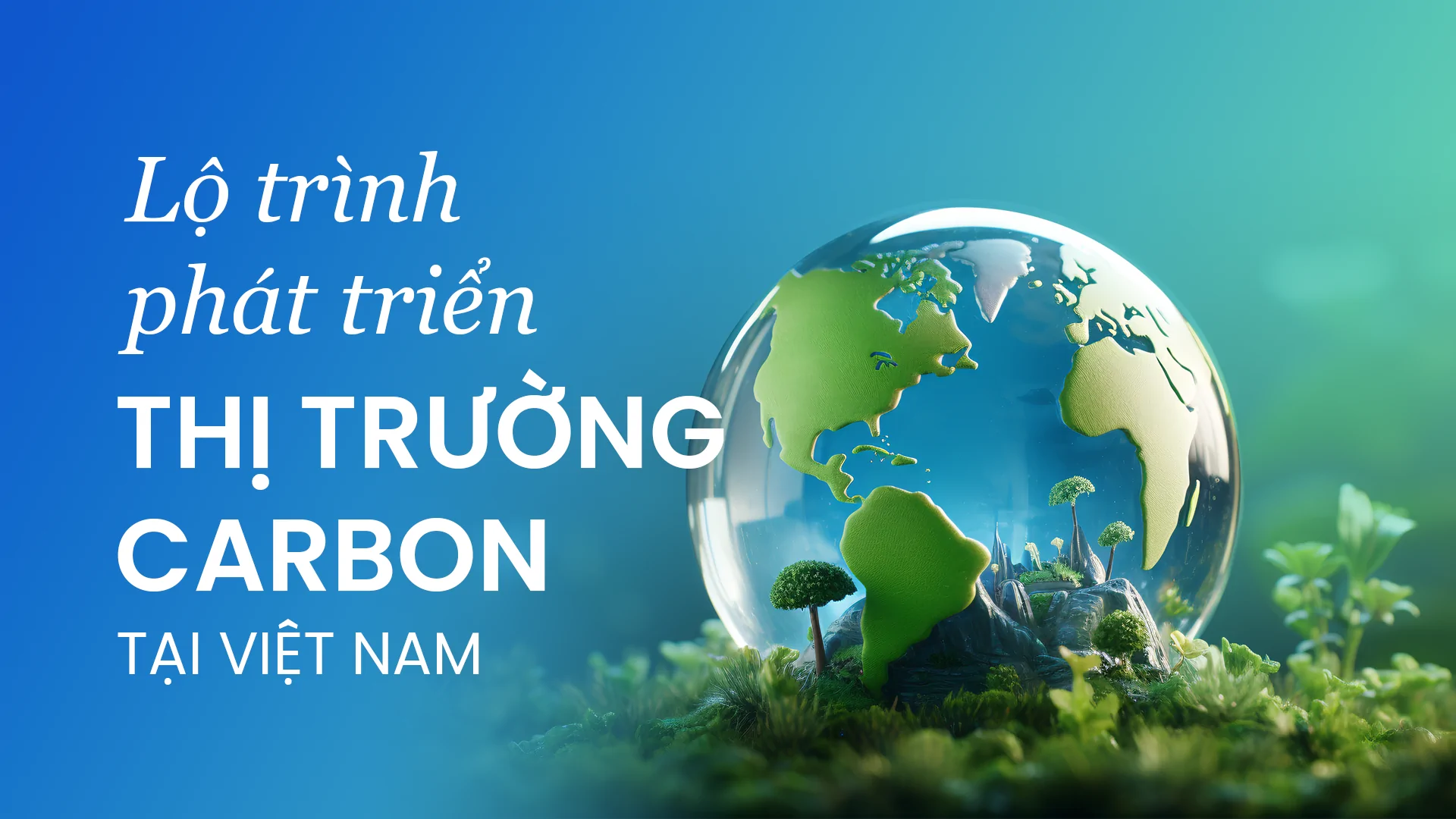 VIỆT NAM SẼ THÍ ĐIỂM SÀN GIAO DỊCH CARBON TRONG 2025
